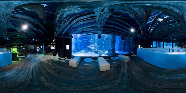 Sea Life : Visiter l'aquarium de Londres