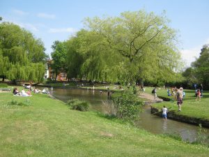 Visiter les jardins de Salisbury
