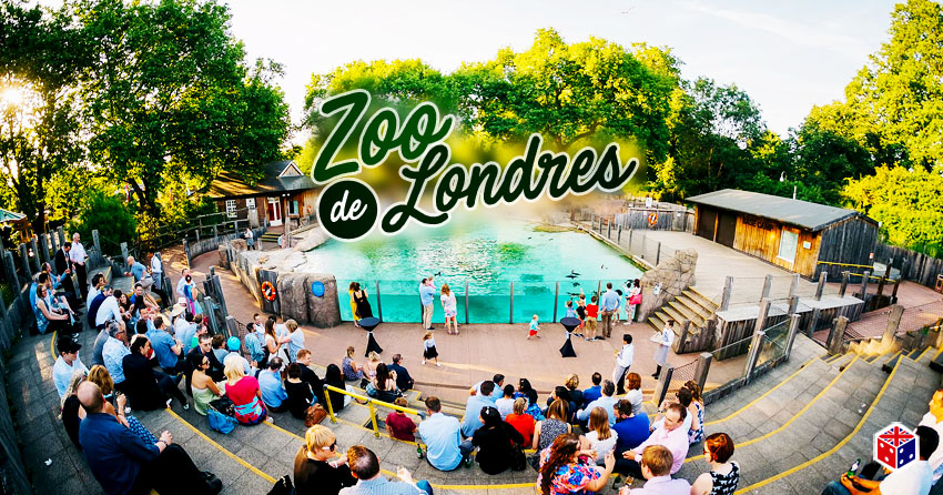 zoo londres prix visite meteo