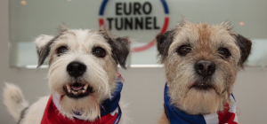 Chien à bord de l'Eurotunnel