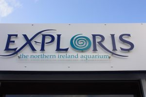 L'aquarium de Belfast